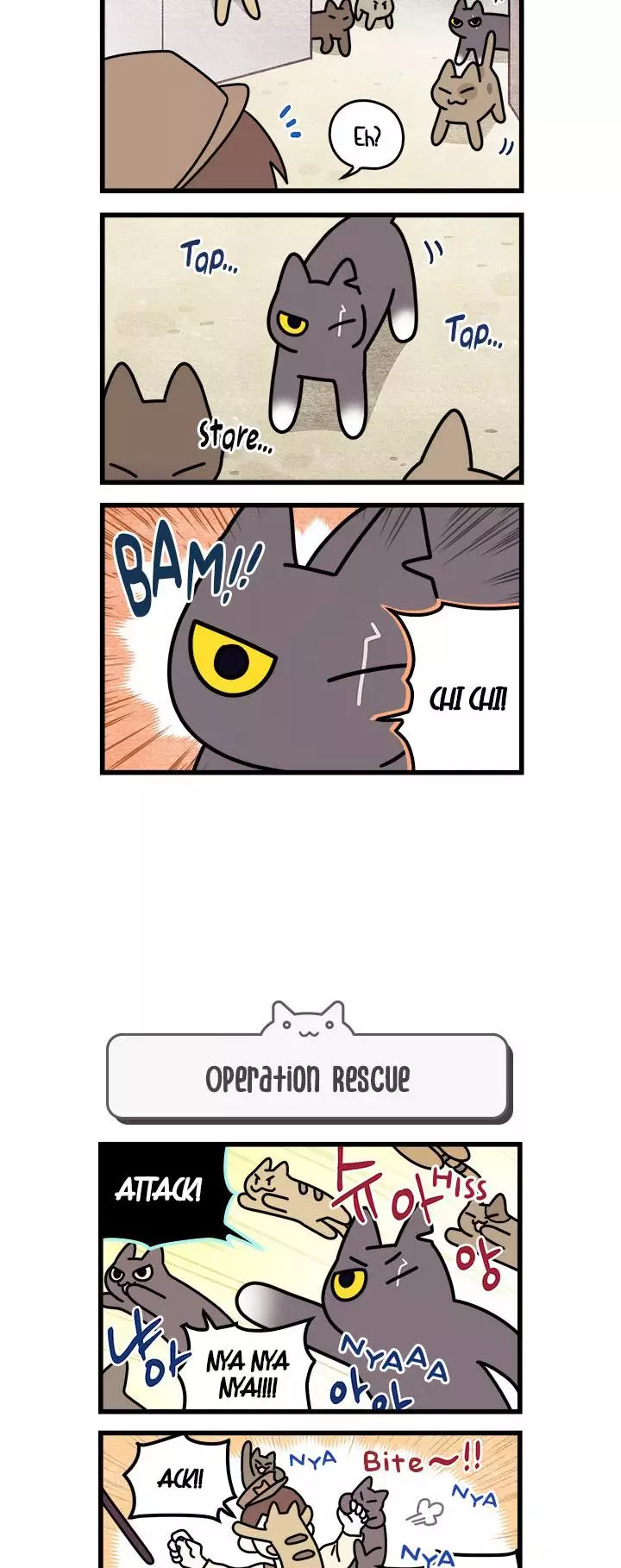 Cats Own The World - 50 page 3-b251acdc