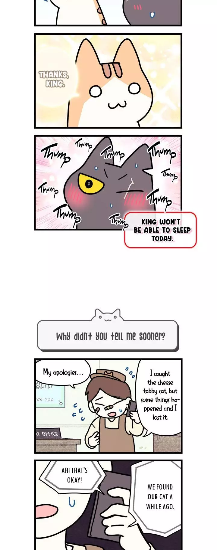Cats Own The World - 50 page 5-253ca3a8