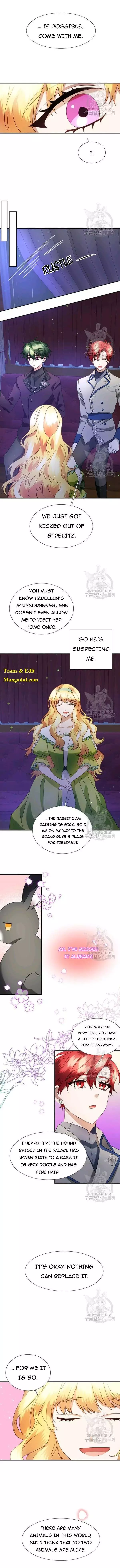The Fake Princess’ Op Bunny - 38 page 4