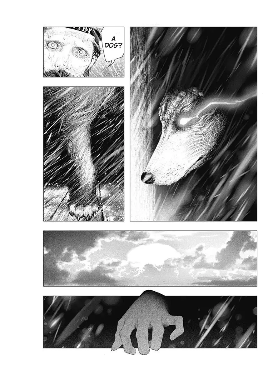 #drcl Midnight Children - 3 page 13