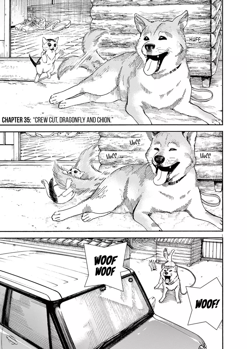 Neko No Otera No Chion-San - 35 page 1