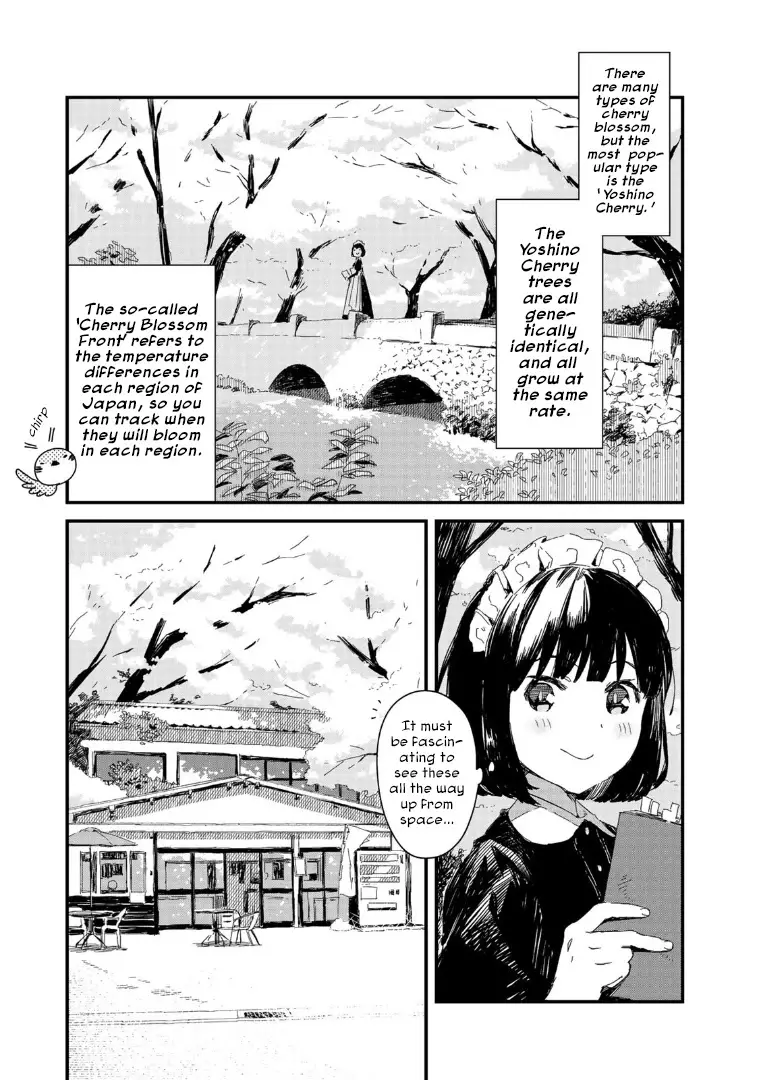 Maid-San Wa Taberu Dake - 3 page 5