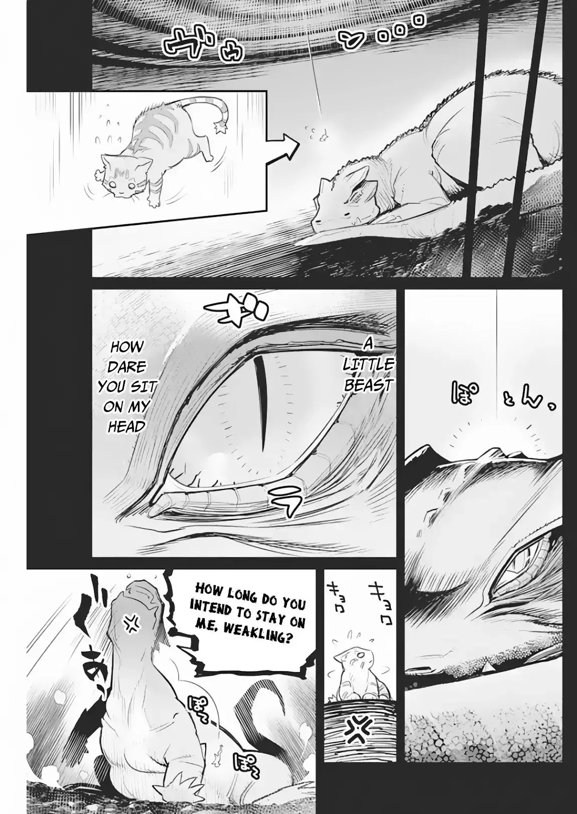 I Am Behemoth Of The S Rank Monster But I Am Mistaken As A Cat And I Live As A Pet Of Elf Girl - 18 page 10