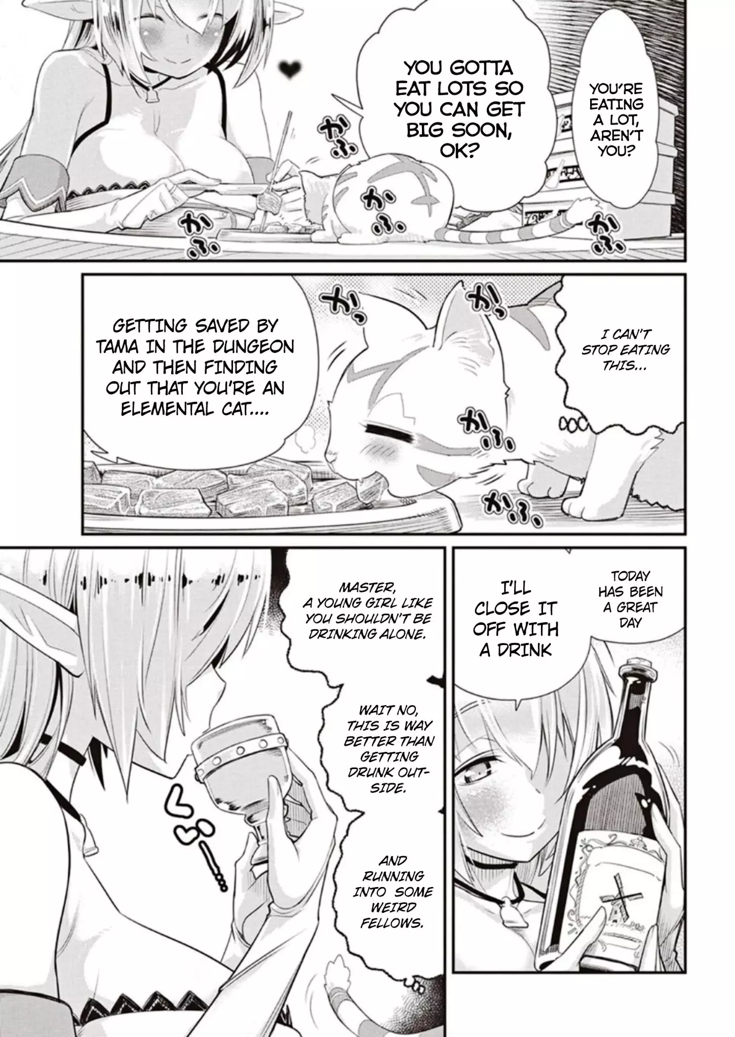 I Am Behemoth Of The S Rank Monster But I Am Mistaken As A Cat And I Live As A Pet Of Elf Girl - 3 page 21