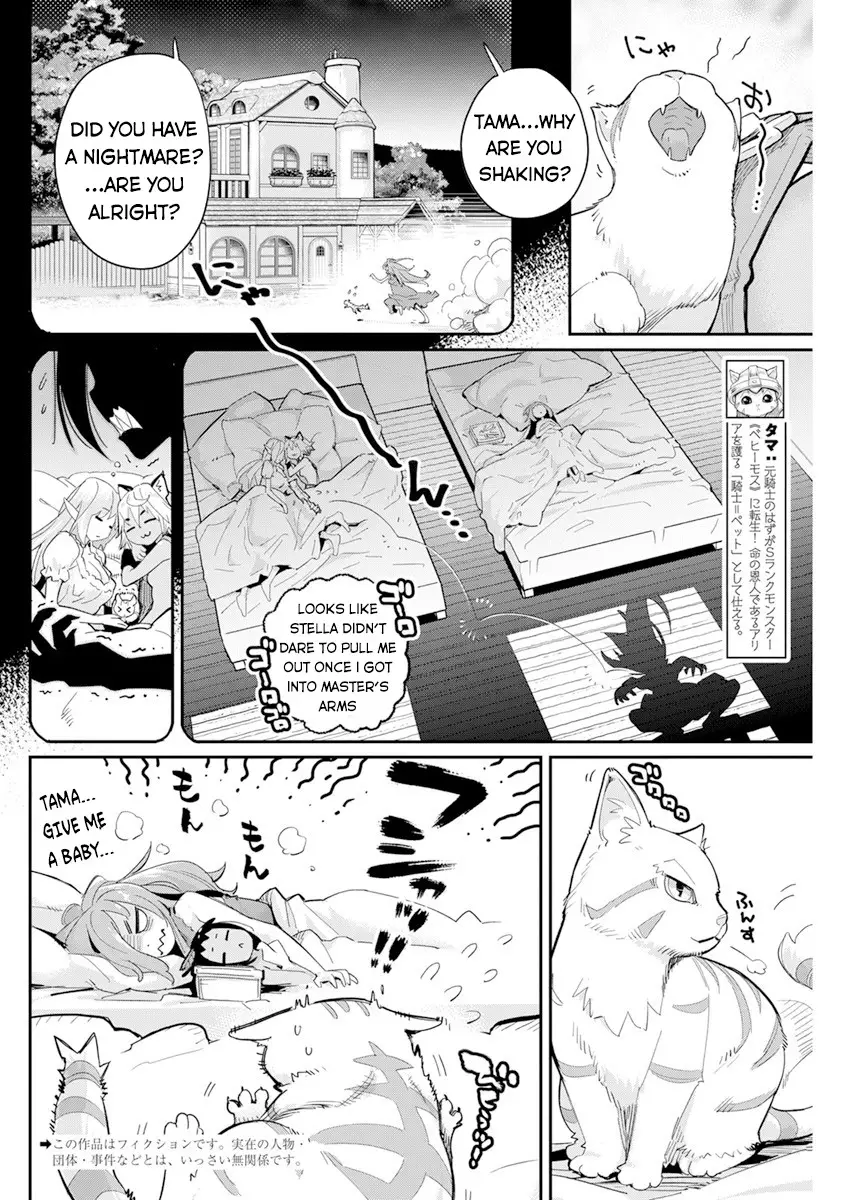 I Am Behemoth Of The S Rank Monster But I Am Mistaken As A Cat And I Live As A Pet Of Elf Girl - 40 page 3