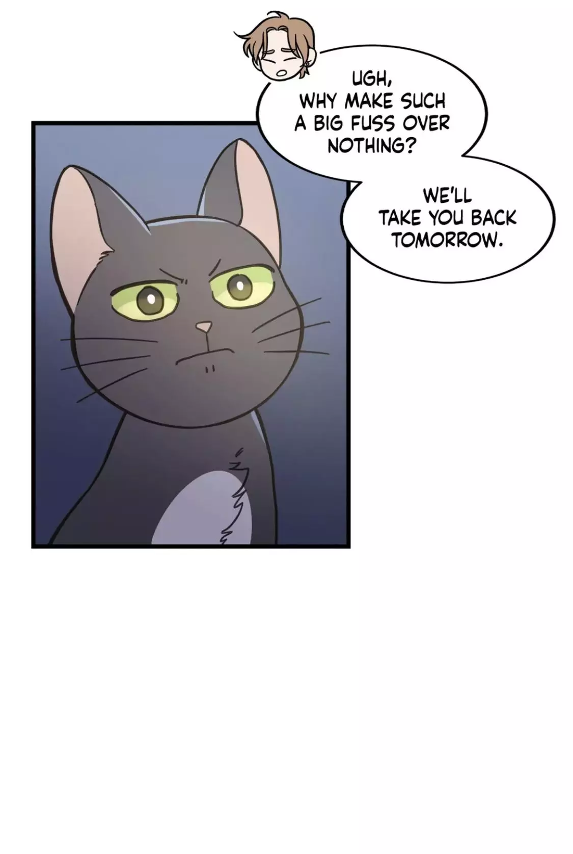 My One And Only Cat - 48 page 31-e3ab2a12