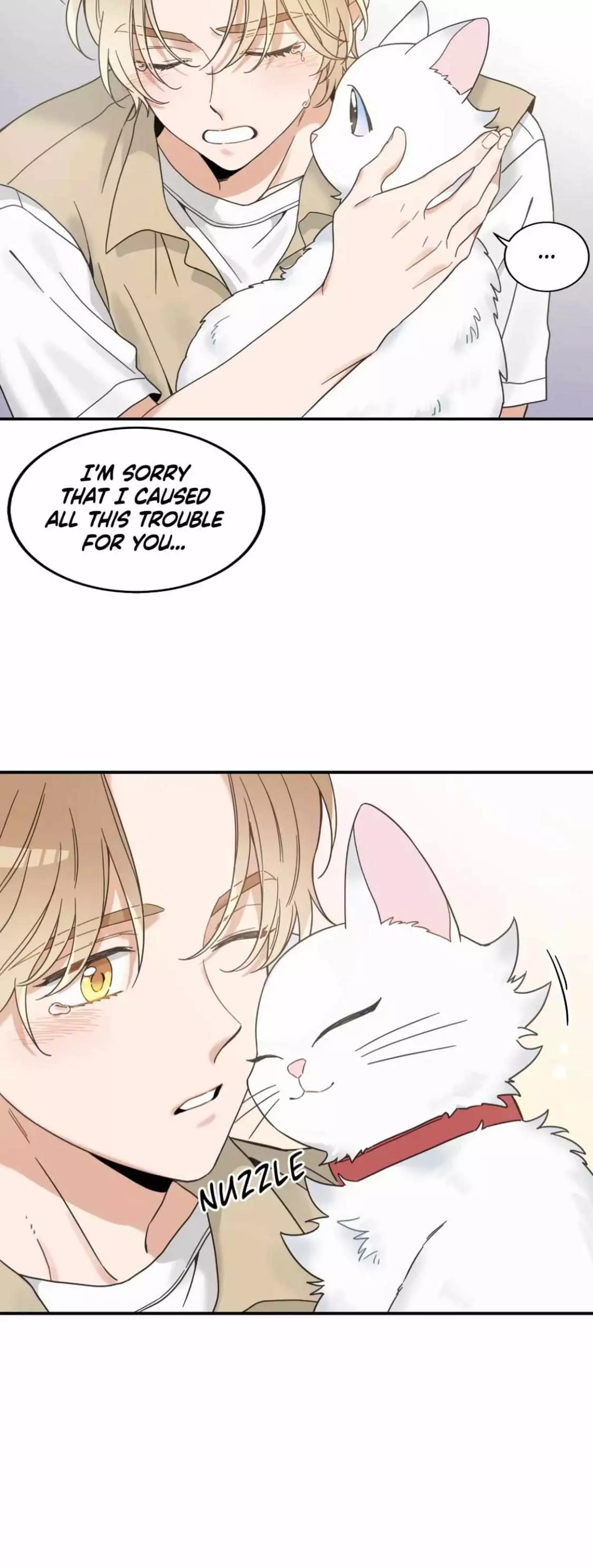 My One And Only Cat - 62 page 29-e6d4bdf4