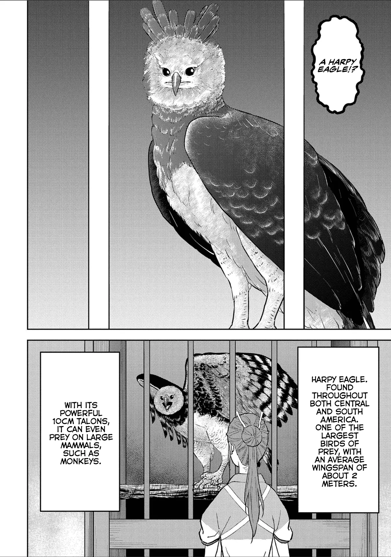 Sengoku Komachi Kurou Tan! - 38 page 23