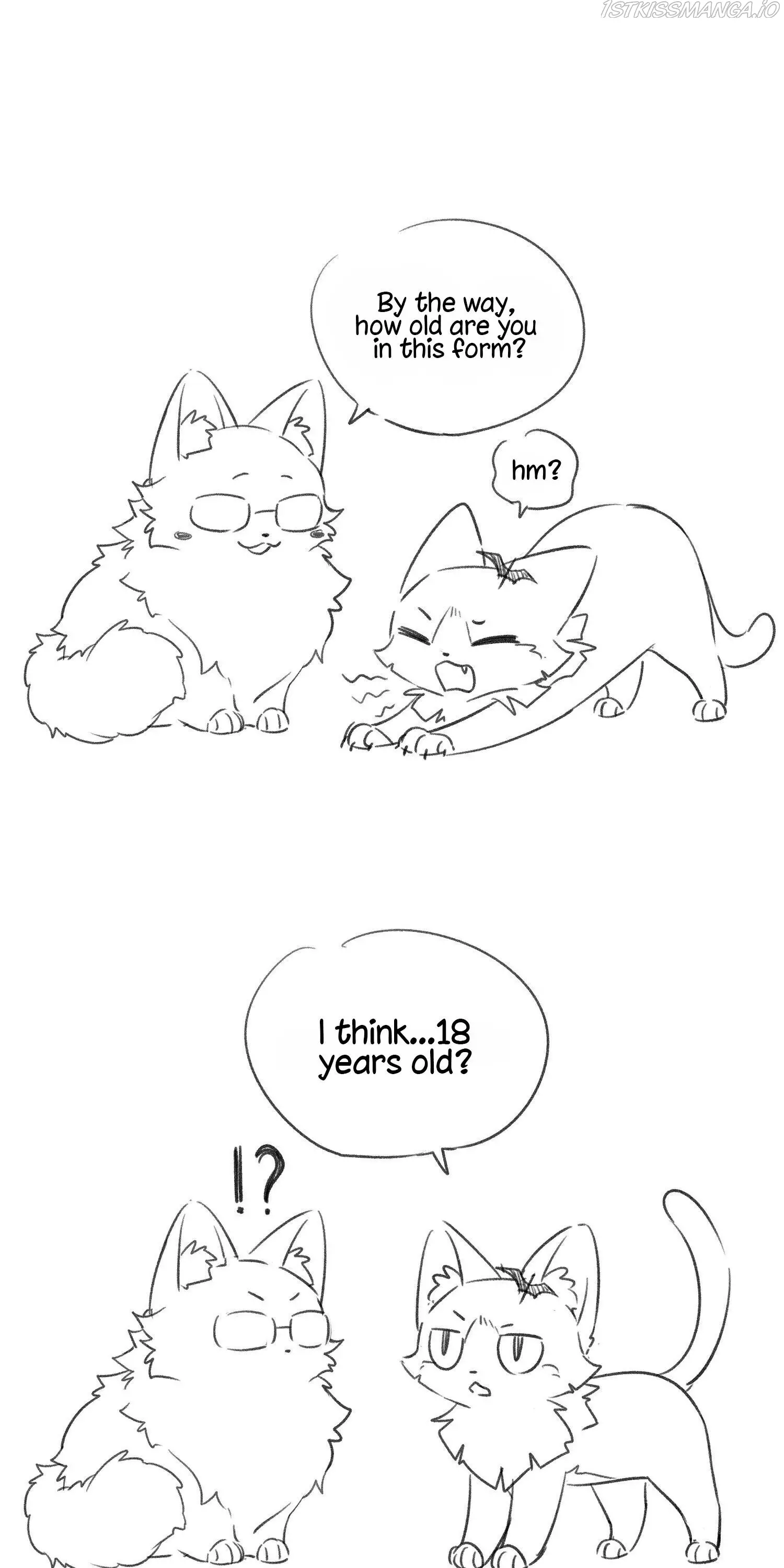 My Food Seems To Be Very Cute - 71 page 25