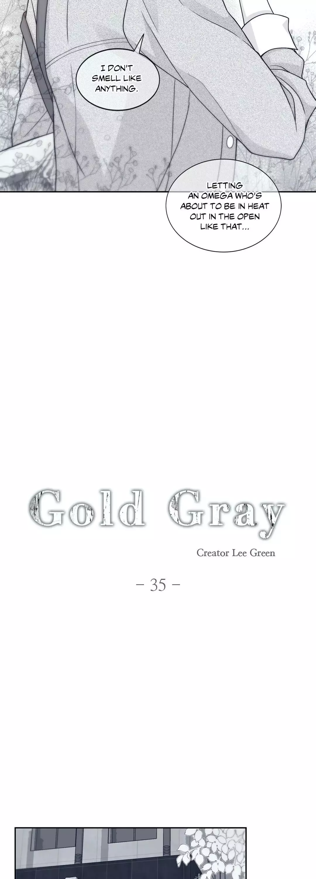 Gold Gray - 35 page 4