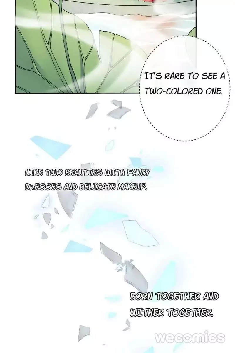 The Wonders Of Aromatics - 21 page 7