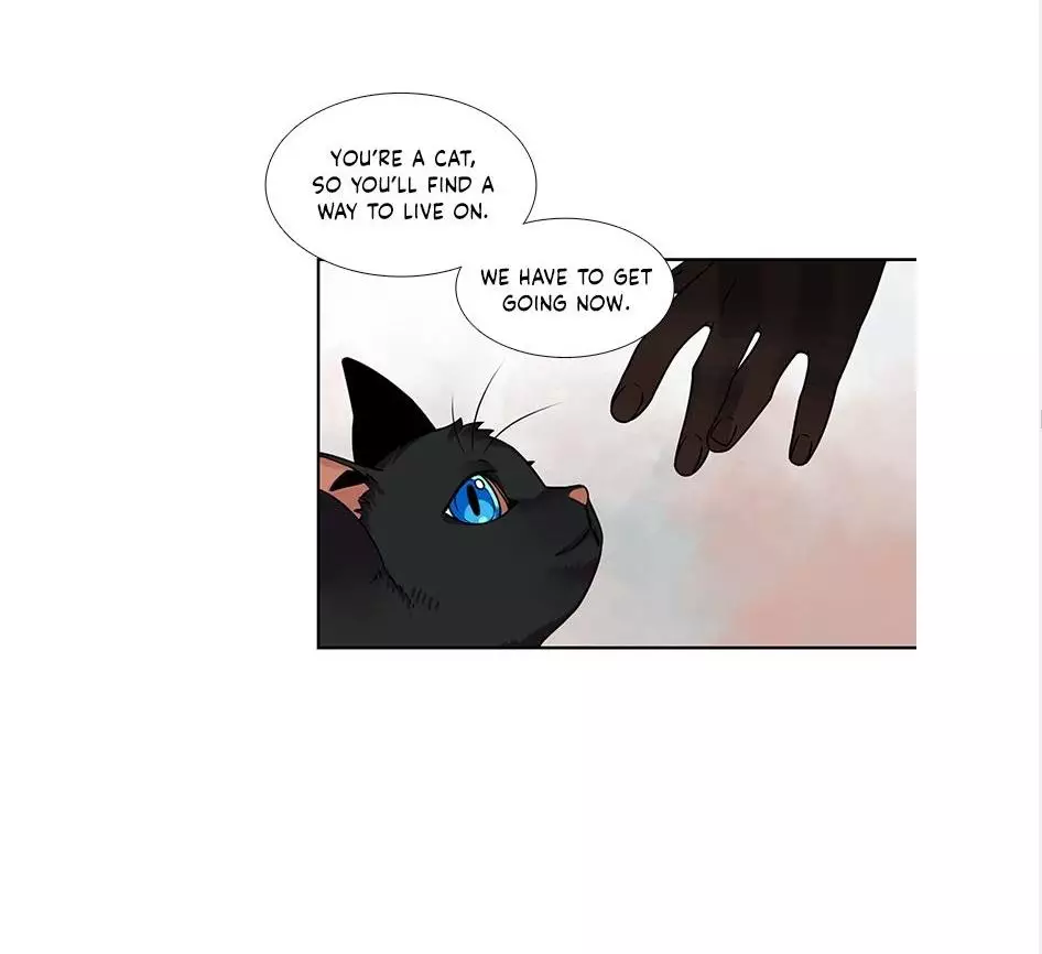 The Chef Hides His Blessing - 37 page 34