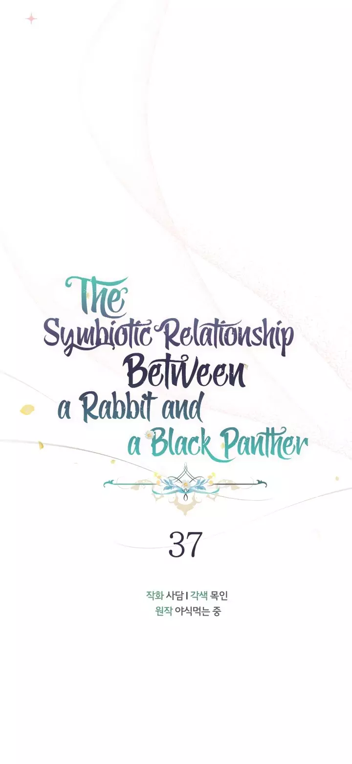 A Symbiotic Relationship Between A Rabbit And A Black Panther - 37 page 5