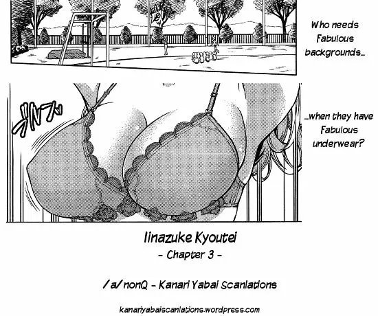 Iinazuke Kyoutei - 3 page 35