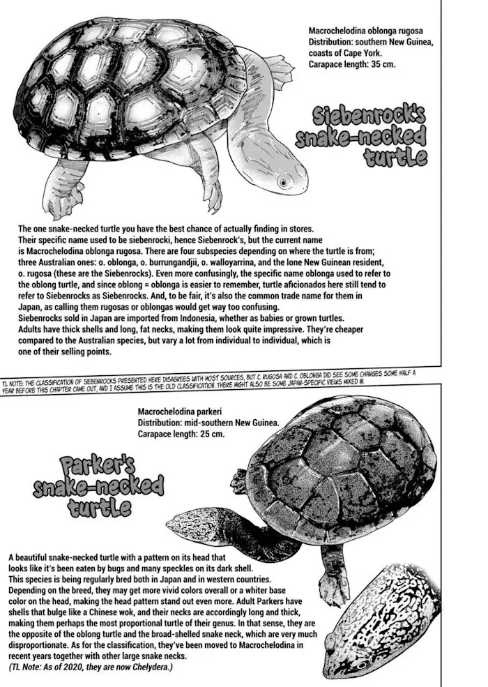 Secret Reptiles - 102 page 11-25fddd28