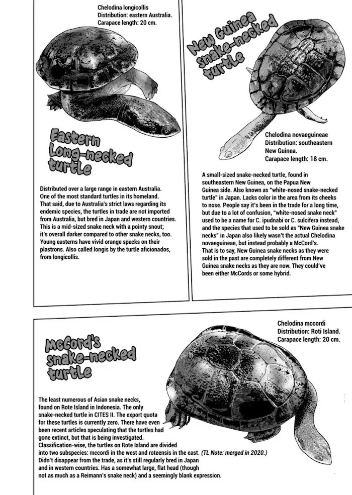 Secret Reptiles - 102 page 12-34887d23