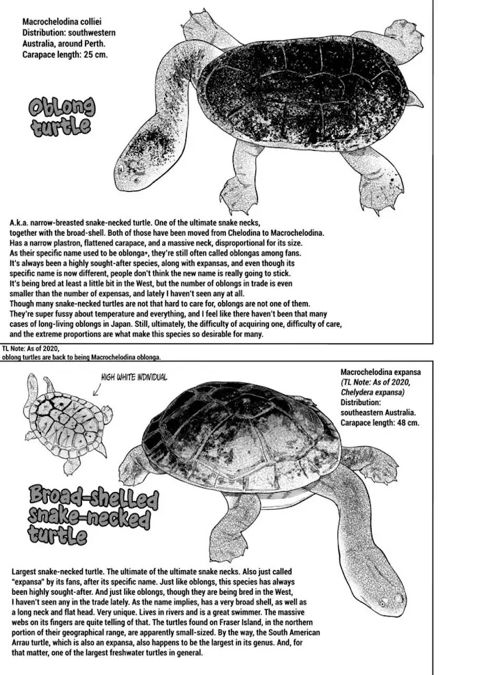 Secret Reptiles - 102 page 13-f13b4061