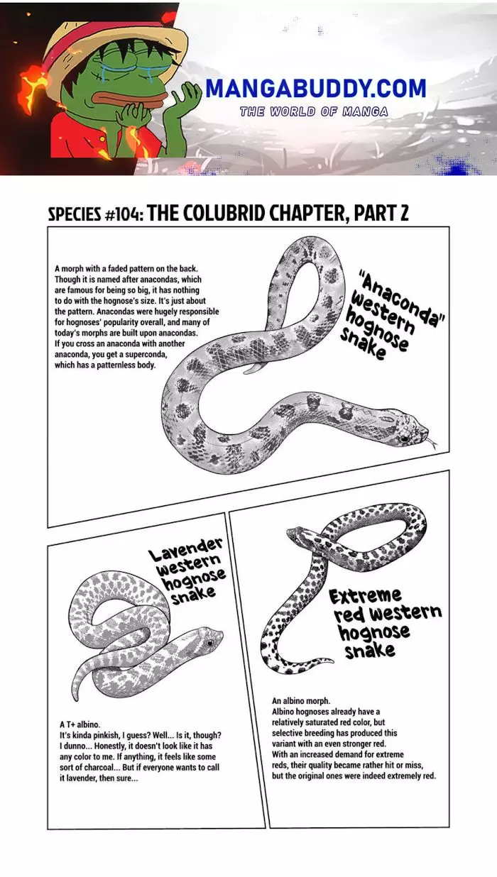 Secret Reptiles - 104 page 1-0f656cbd
