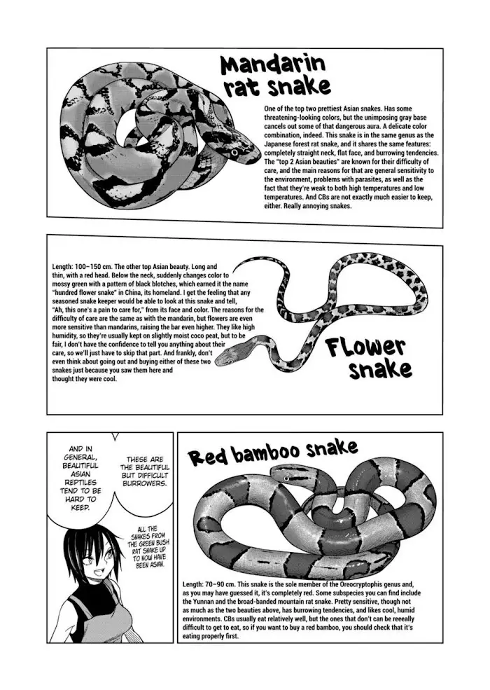 Secret Reptiles - 104 page 16-43eef1c9