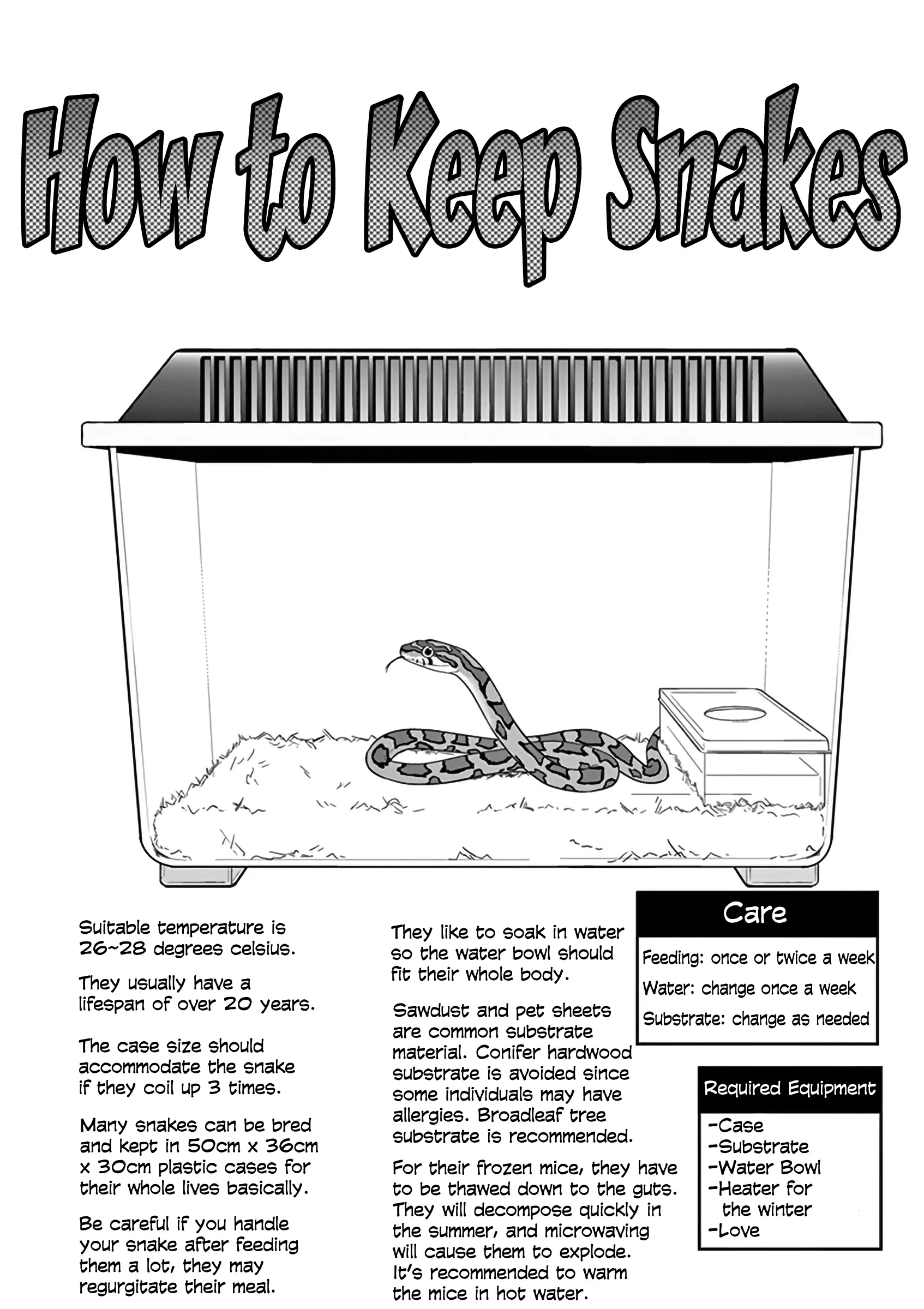Secret Reptiles - 11 page 16