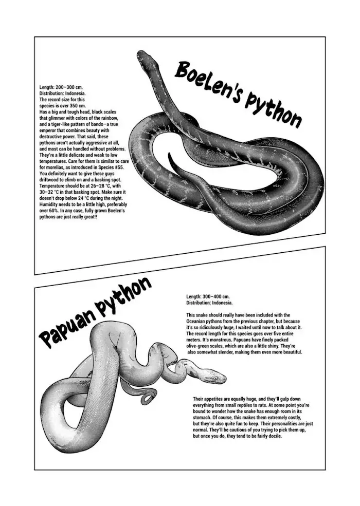 Secret Reptiles - 113 page 16-e83a0be6