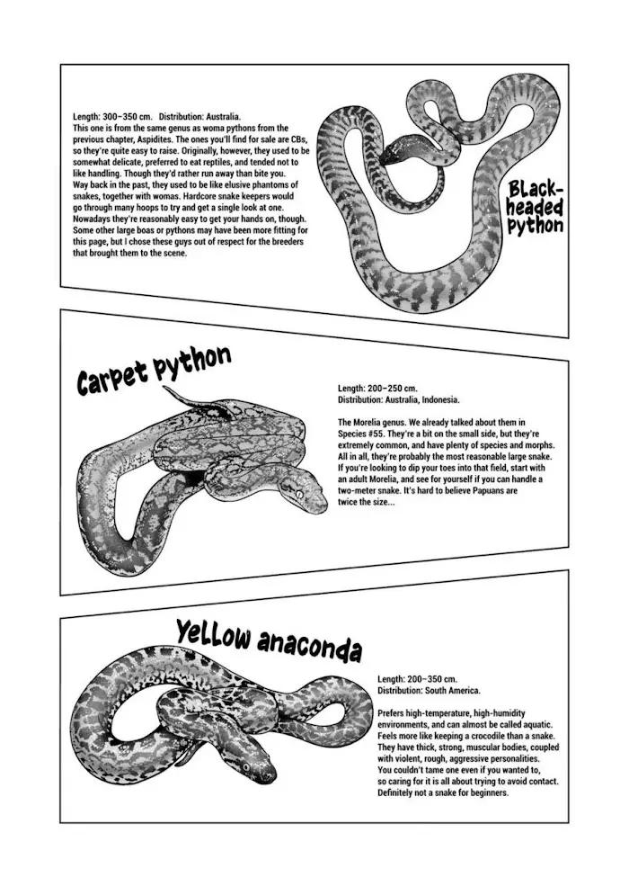 Secret Reptiles - 113 page 17-a7097418