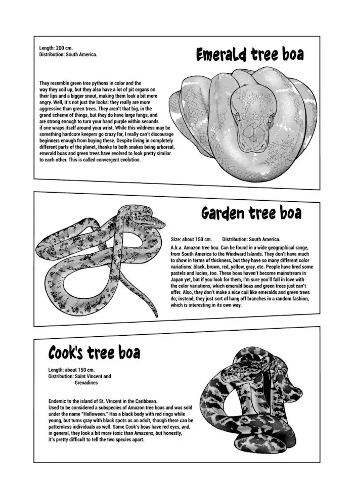 Secret Reptiles - 113 page 4-ec53b8e0