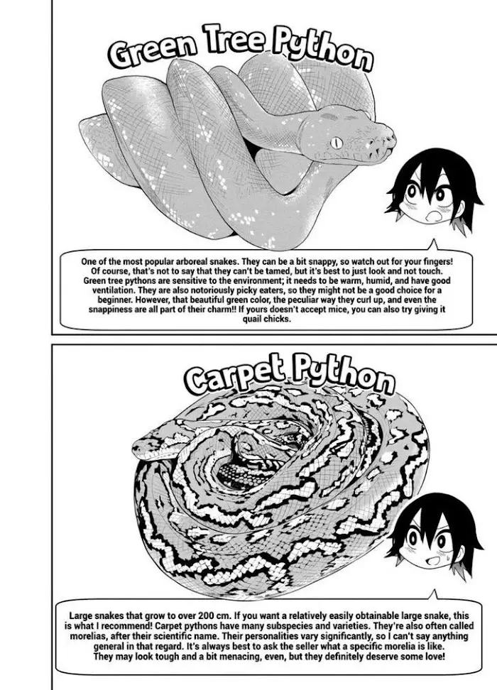 Secret Reptiles - 23 page 16-4bd8e1a1
