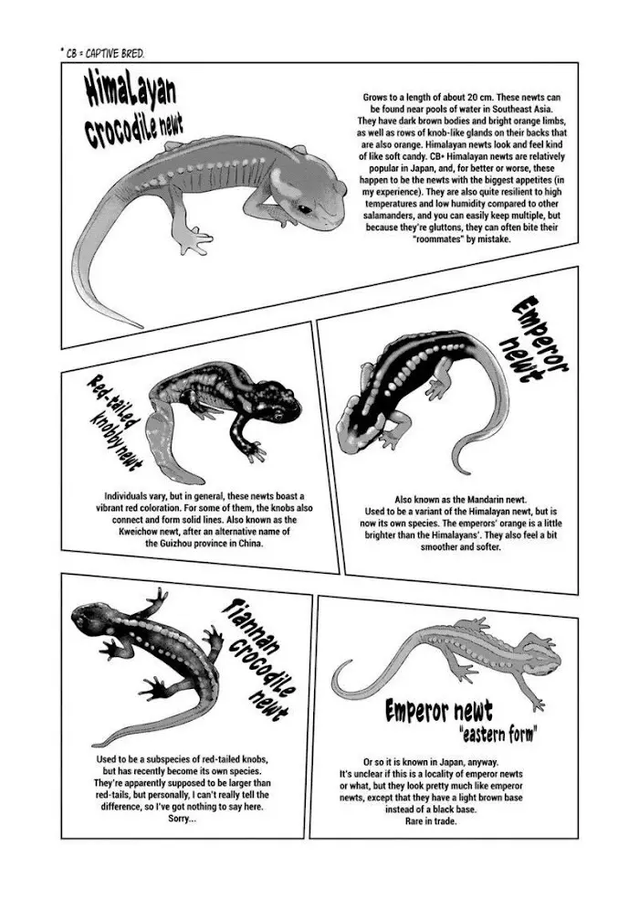 Secret Reptiles - 83 page 5-578b40fa