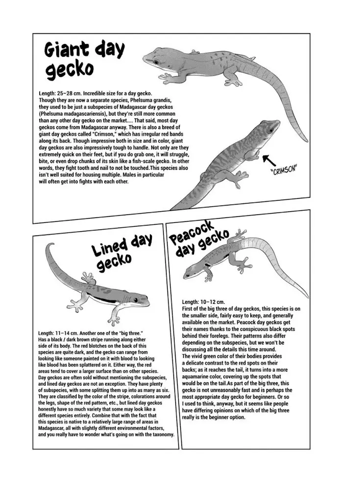 Secret Reptiles - 86 page 8-52130e5c