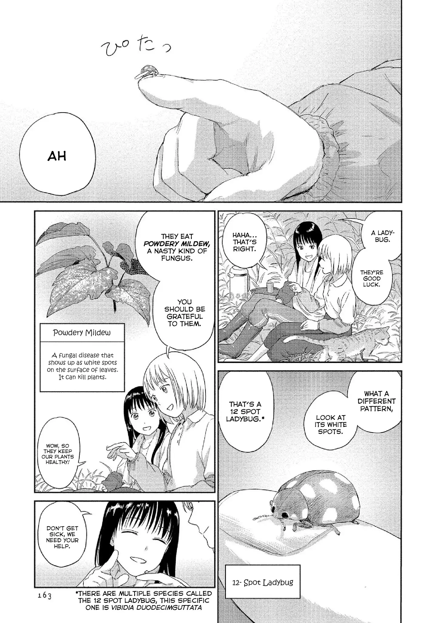 Mai No Mushigurashi - 34 page 3