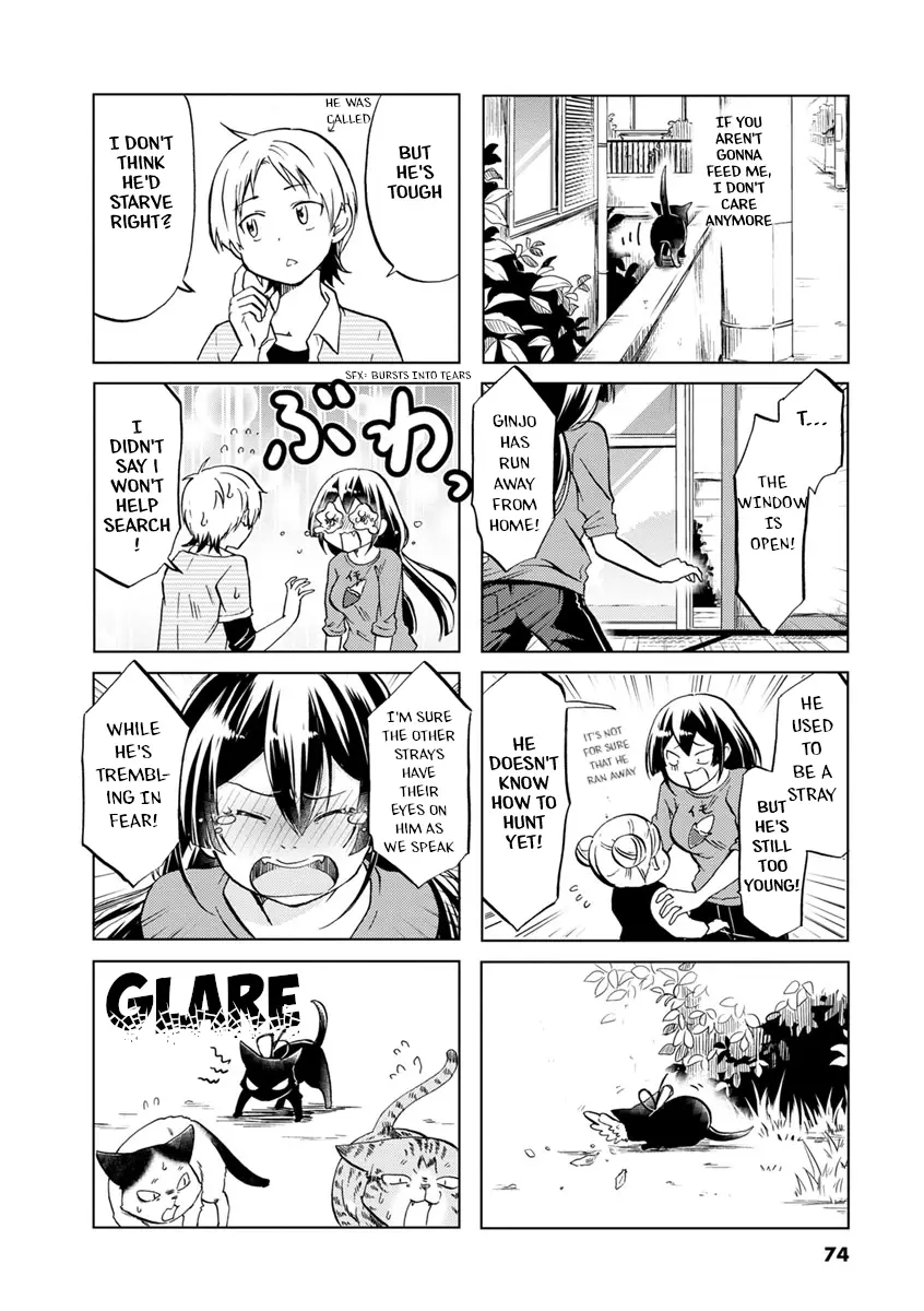 Koisuru Yankee Girl - 41 page 3