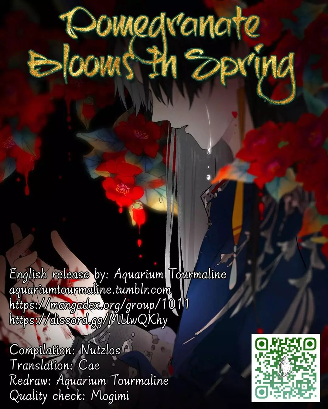 Pomegranate Blooms In Spring - 24 page 1