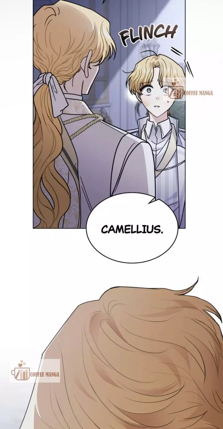 Finding Camellia - 63 page 17-134c86bb