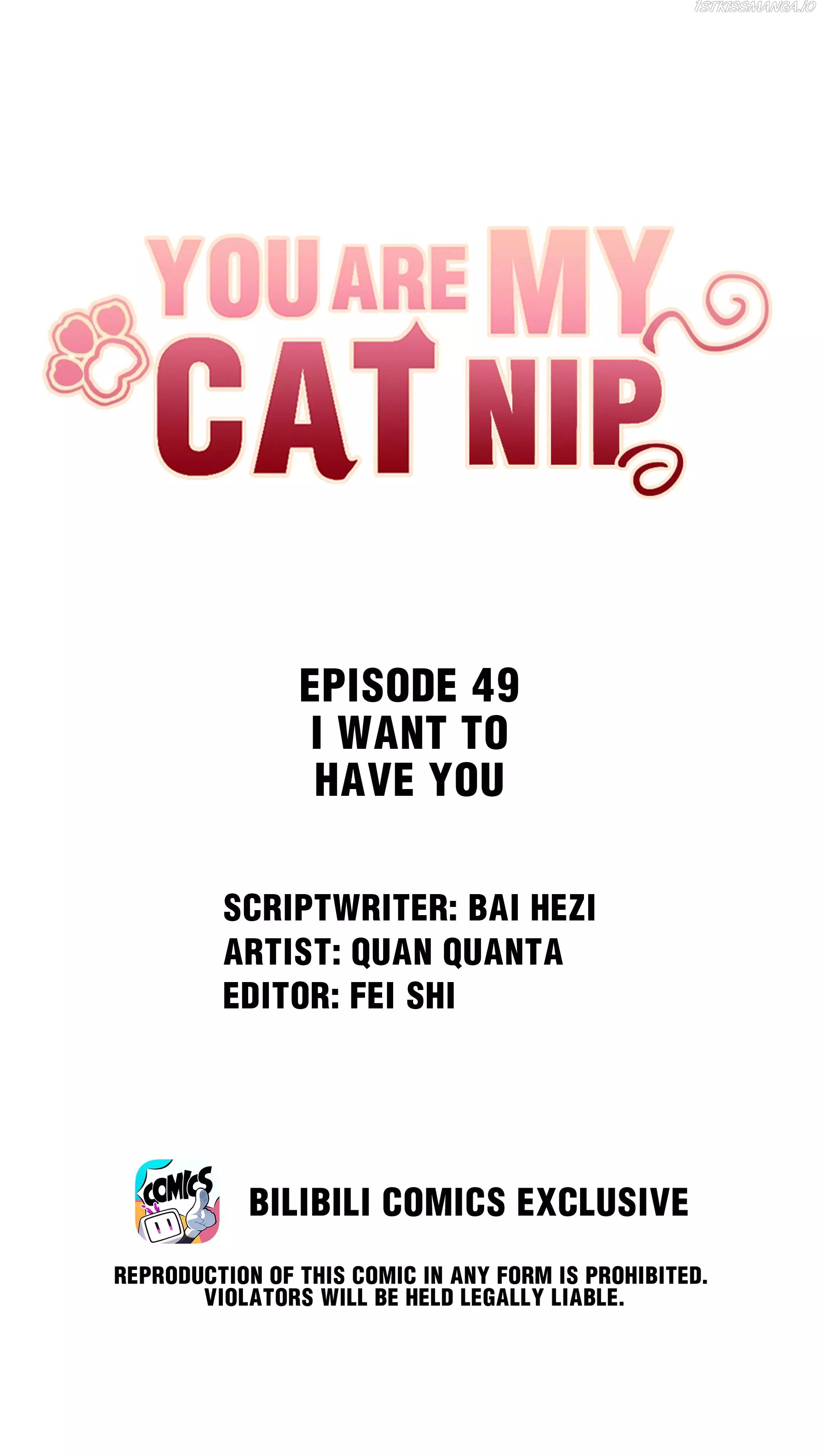 You Are My Catnip - 49 page 1-657151aa