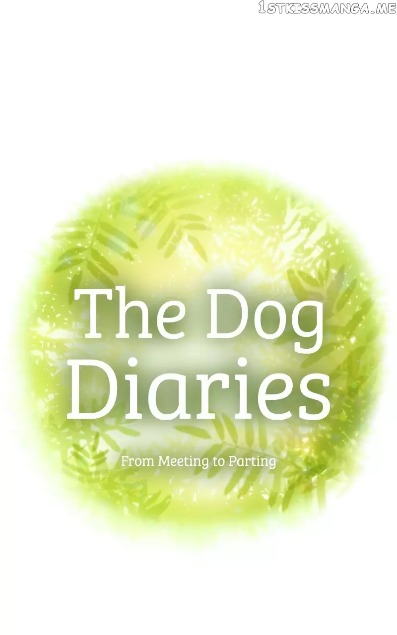 The Dog Diaries - 114 page 25-3780b4b2