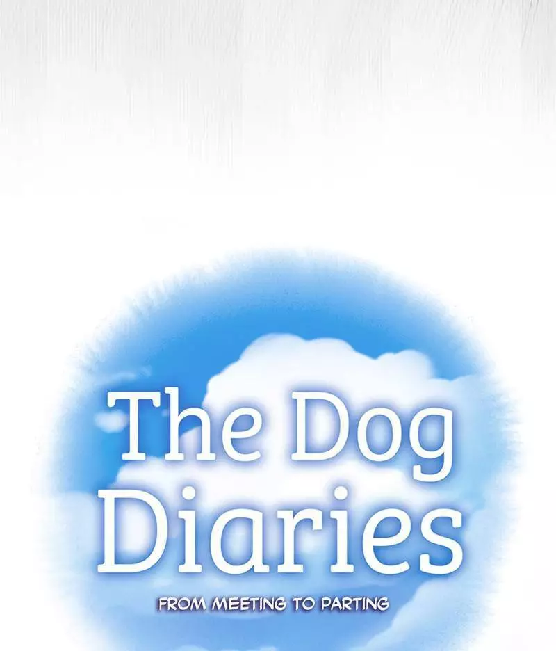 The Dog Diaries - 12 page 10-8c6d96c1