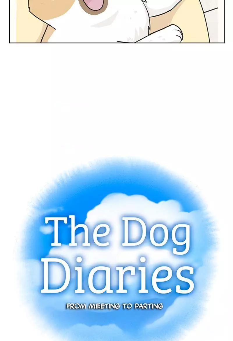 The Dog Diaries - 13 page 13-2d7174fe