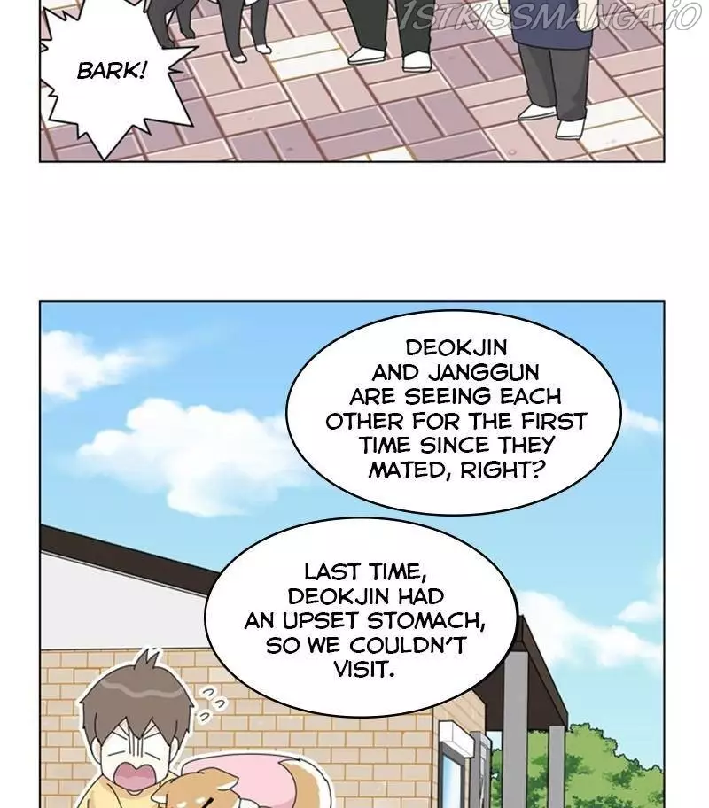 The Dog Diaries - 31 page 69-fe23fe1a