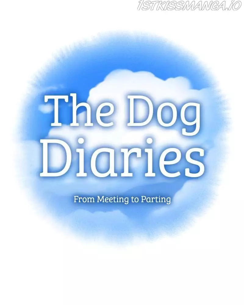 The Dog Diaries - 39 page 11-b07faf74