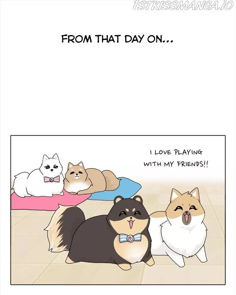 The Dog Diaries - 40 page 57-62fa4a96