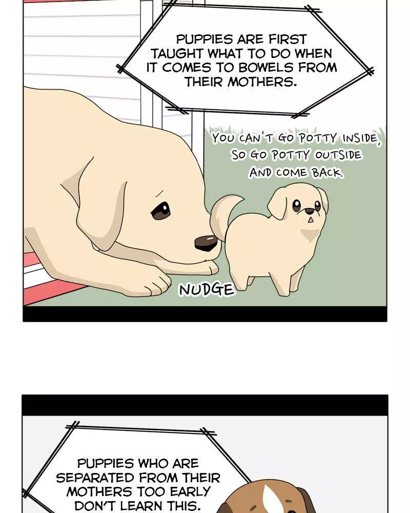 The Dog Diaries - 44 page 19-9e08b64a