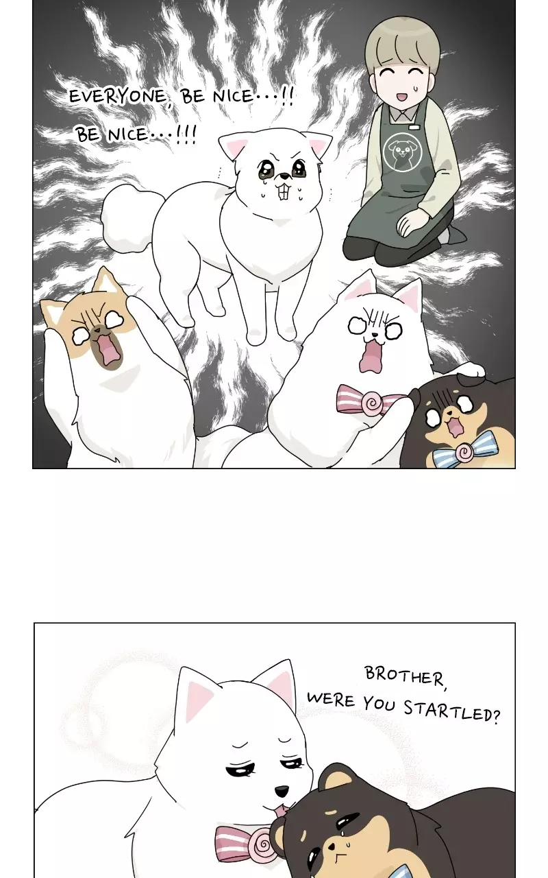 The Dog Diaries - 69 page 43-e79efdb1