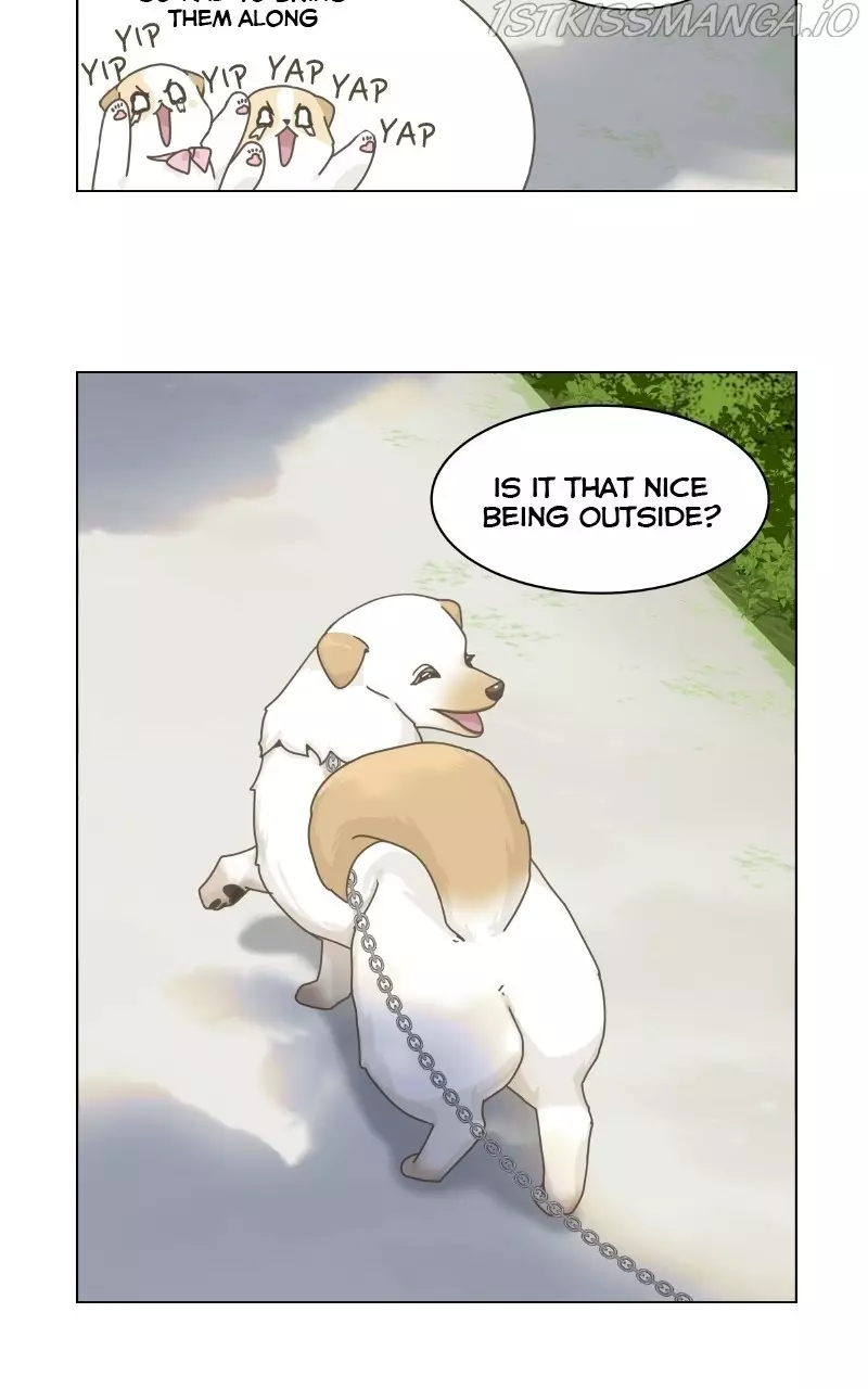 The Dog Diaries - 73 page 41-b9f3ceef