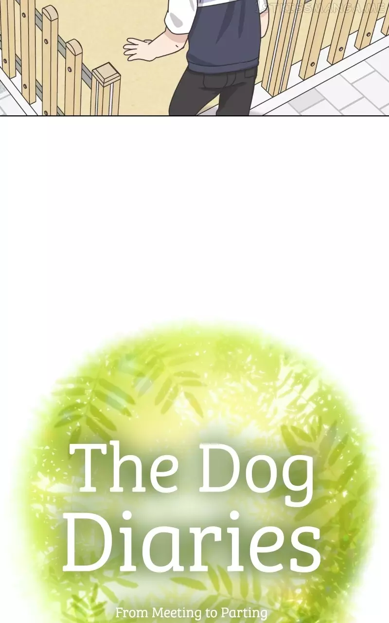 The Dog Diaries - 90 page 14-362f2bf3