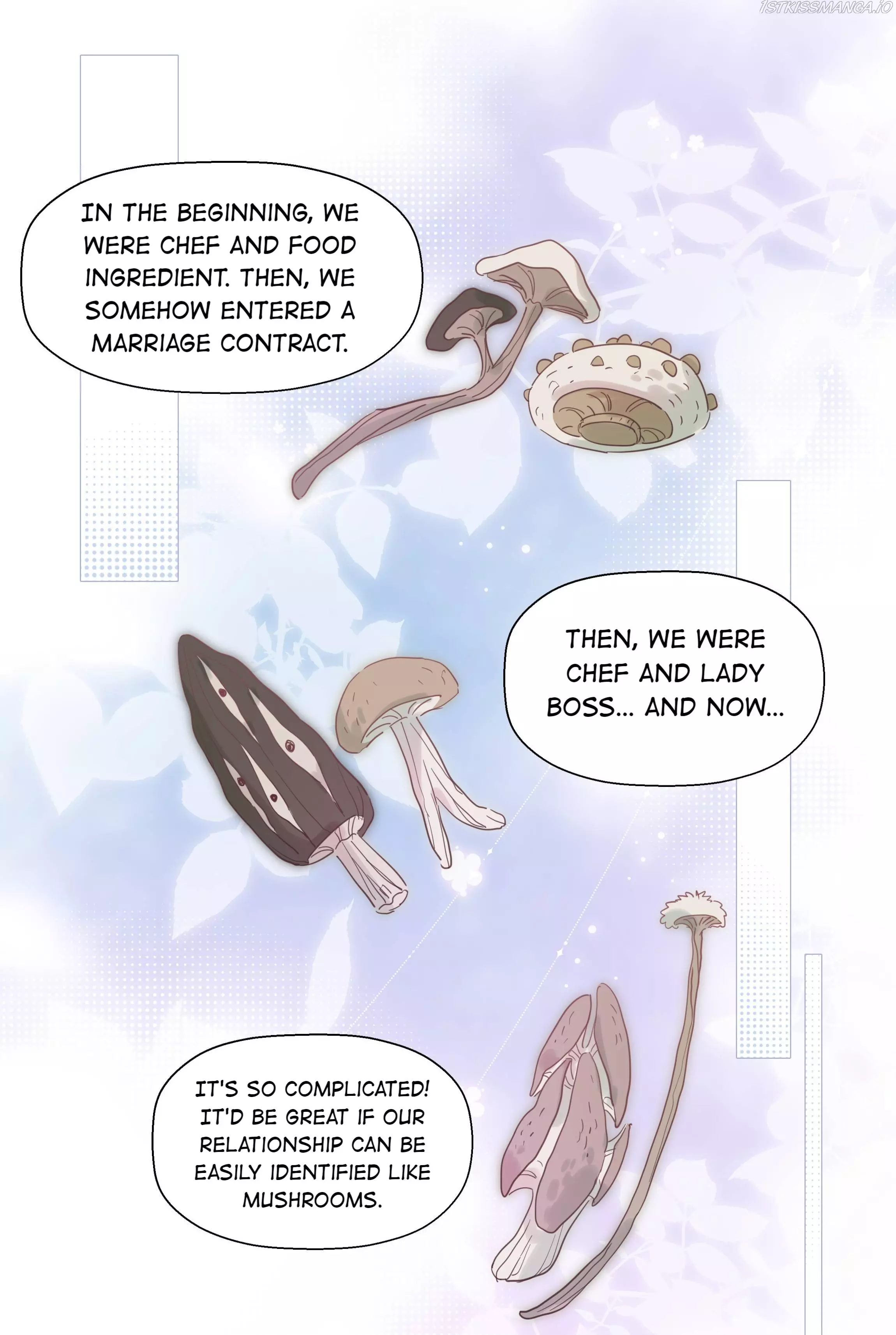What Should I Do If I’Ve Signed A Marriage Contract With The Elven Princess - 66 page 7
