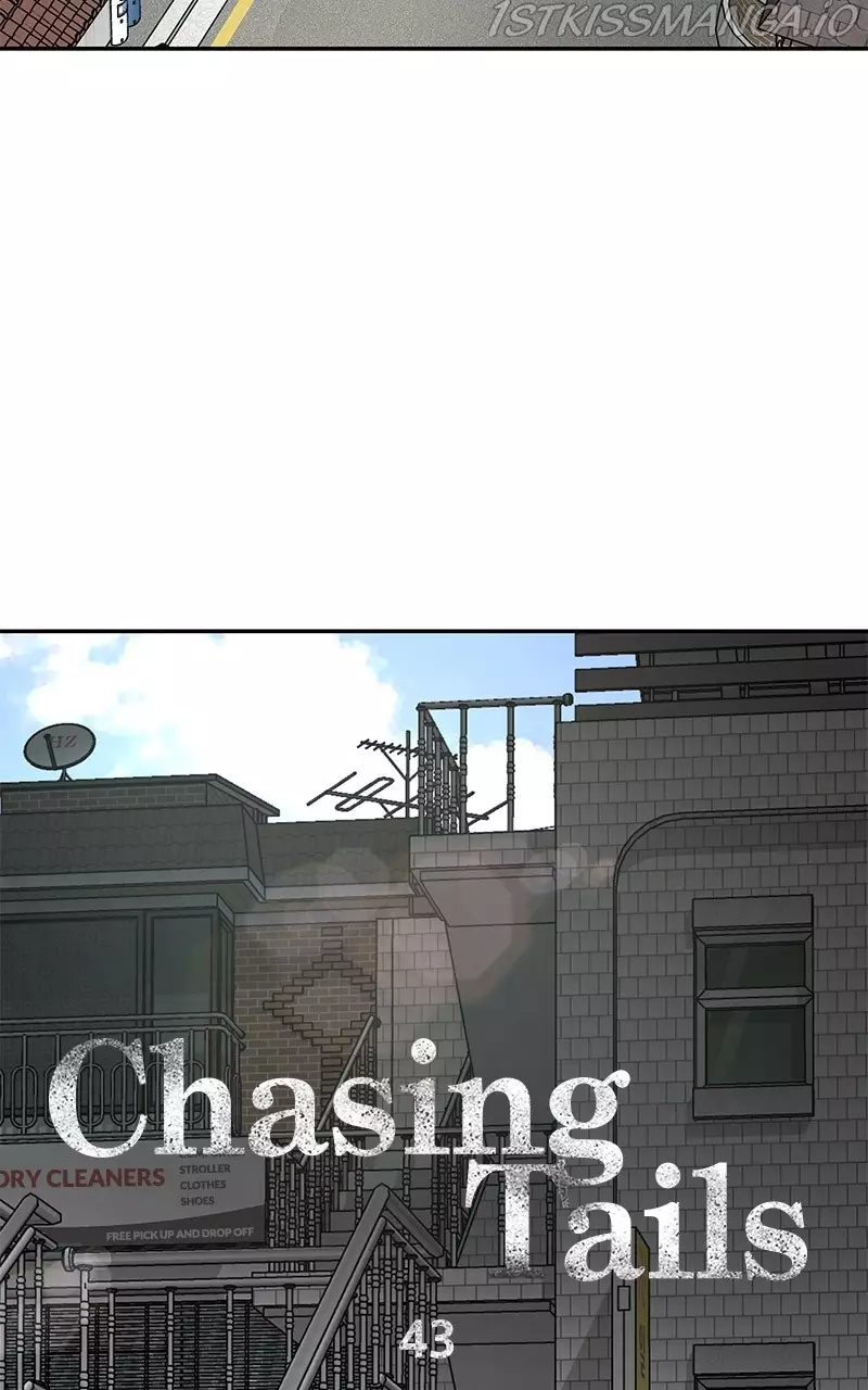 Chasing Tails - 43 page 2-32325352