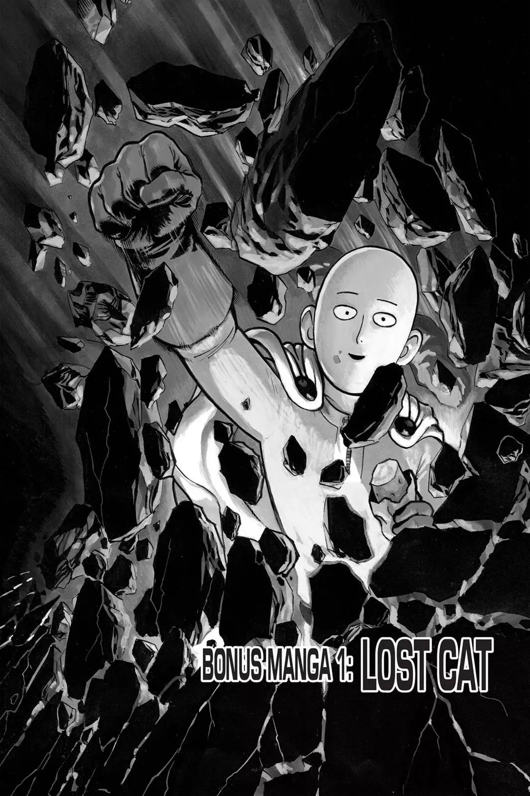 One Punch-man - 40.5 page 1-dae3a26f