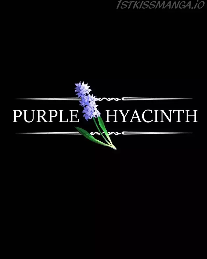 Purple Hyacinth - 124 page 48-9734888e