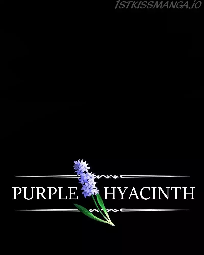 Purple Hyacinth - 135 page 2-40f280b4
